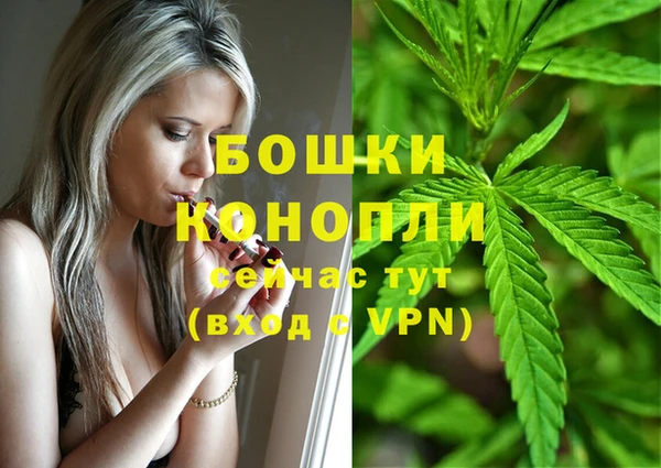 ПСИЛОЦИБИНОВЫЕ ГРИБЫ Заволжск